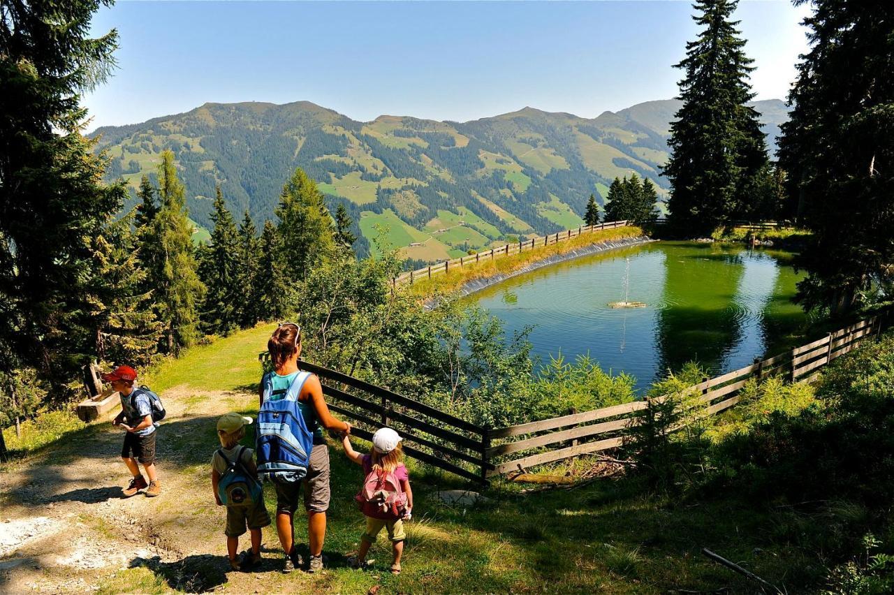 Apartment Haus Schoenwies Alpbach Dış mekan fotoğraf