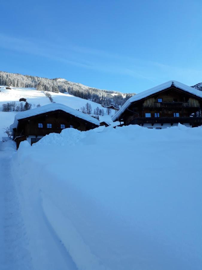 Apartment Haus Schoenwies Alpbach Dış mekan fotoğraf