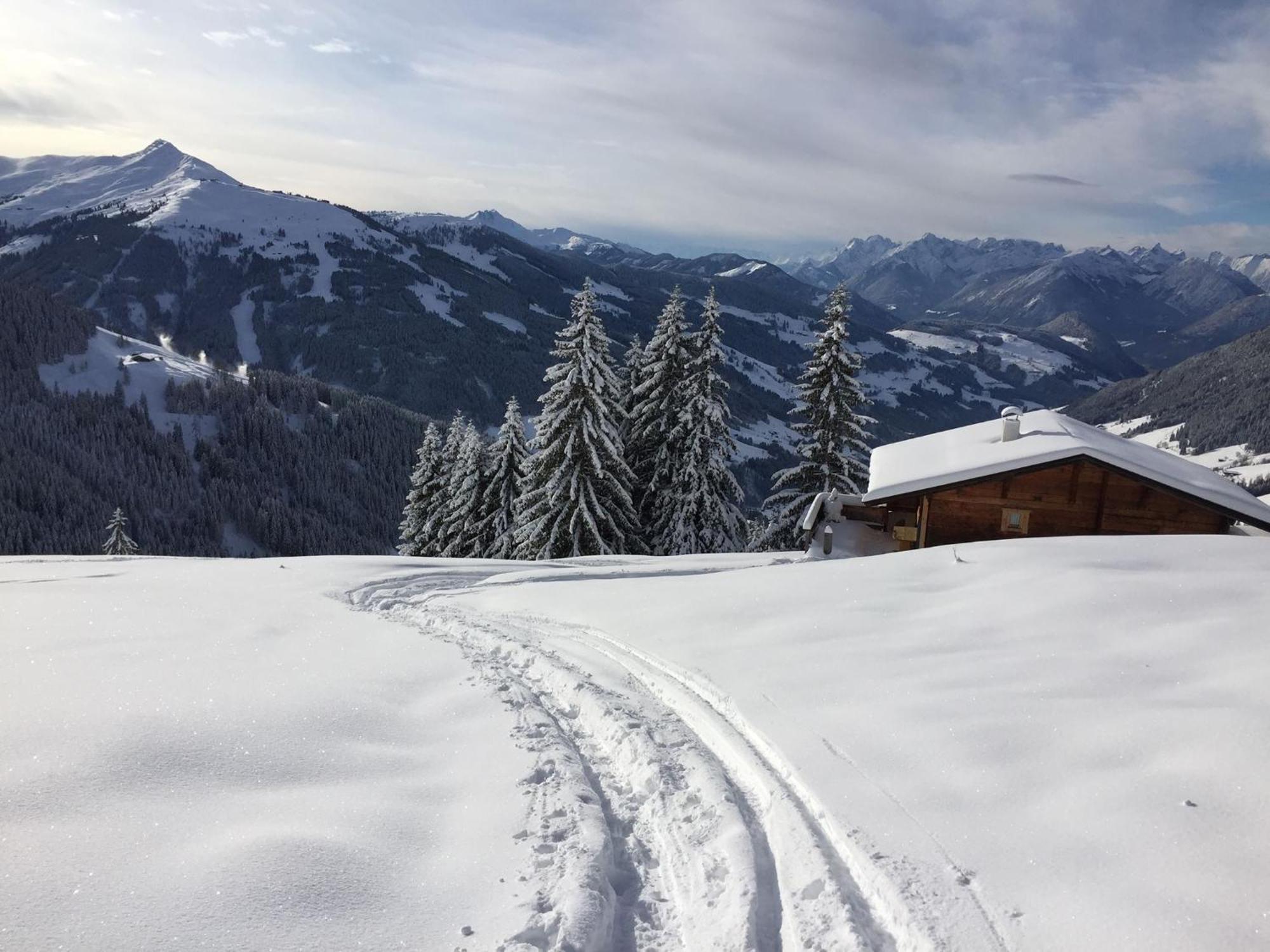 Apartment Haus Schoenwies Alpbach Dış mekan fotoğraf