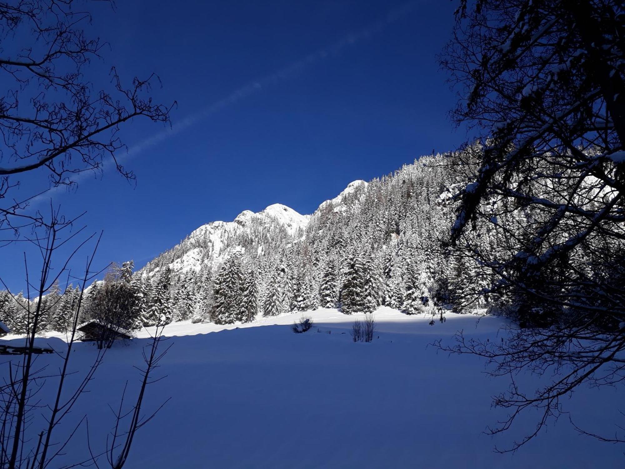 Apartment Haus Schoenwies Alpbach Dış mekan fotoğraf